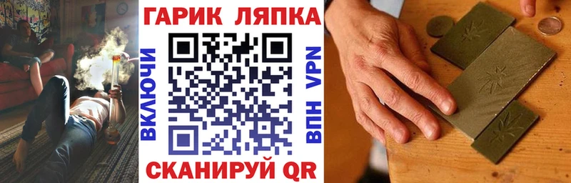 Гашиш хэш  закладки  Сунжа 