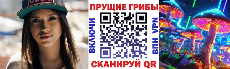 наркотики  Сунжа  Псилоцибиновые грибы ЛСД 